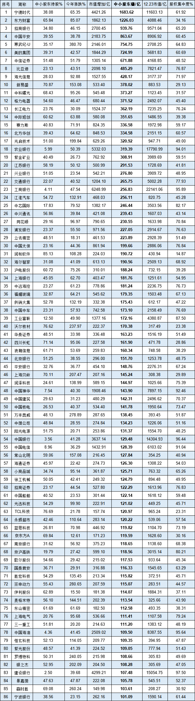 2024年中小股东盈利最多股票盘点：宁德时代、东方财富领跑